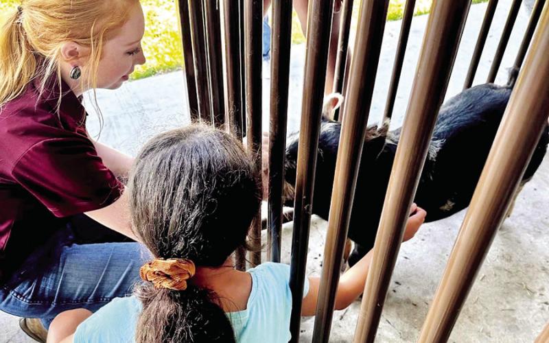Ignite Youth Camp learns about pork production