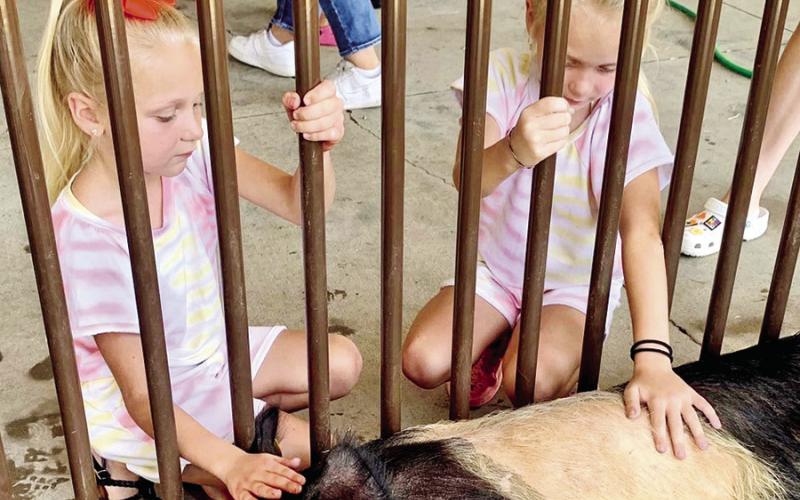 COURTESY PHOTOS
