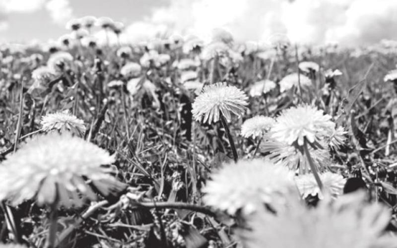 PHOTO BY NIKLAS HAMANN ON UNSPLASH