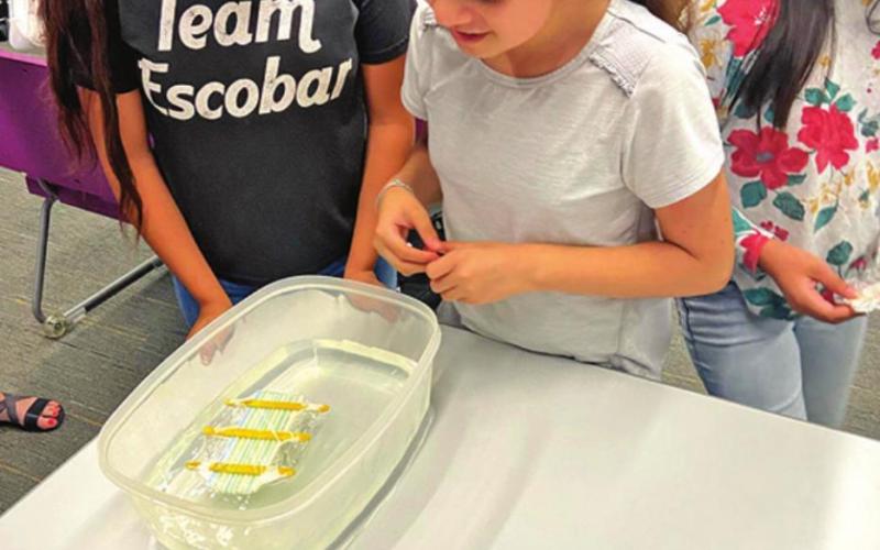 Little Bulldogs get creative at Harts Bluff summer school