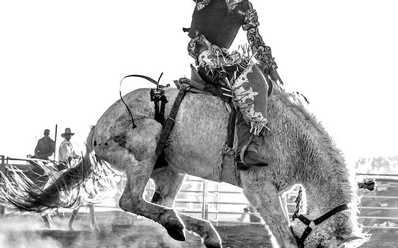 NTCC to Host NIRA Southern Region Collegiate Rodeo