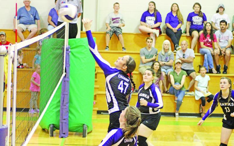 CHAAMP’s Mackenzie Hulen jumps for a spike during Friday’s match against Harts Bluff.