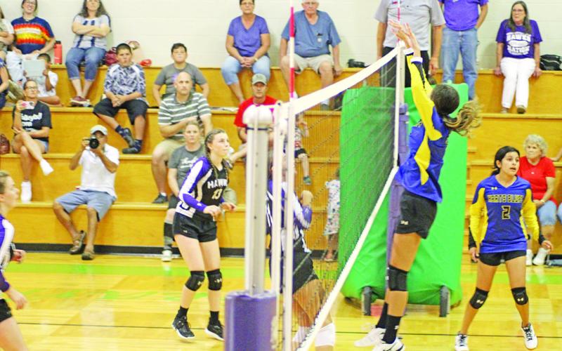 Harts Bluff’s Alexis Gonzalez makes the block. TRIBUNE PHOTO / QUINTEN BOYD