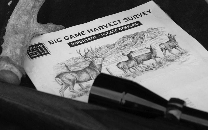 TPWD mailed out 170,000 harvest surveys for big game and small game this year to random Texas license holders. Recipients should do the responsible thing by completing the survey and returning it in a timely fashion. It only takes a few minutes complete. (Photo Illustration by Matt Williams)