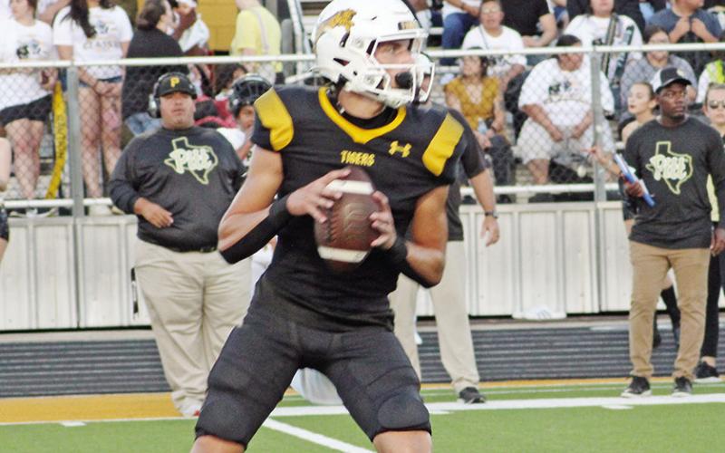 Tigers fall short against L-E, 14-12; travel to meet Emerson Thursday