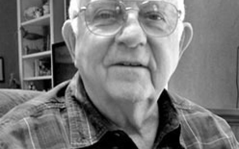 Joe Williams Sandlin