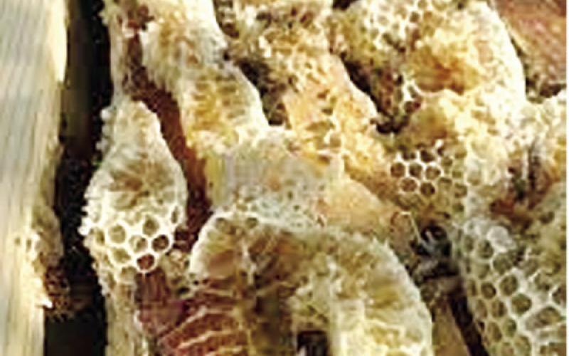 Beeswax is collected from the hive frames and and then melted.