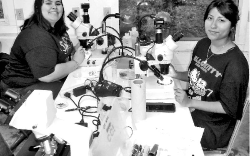 Gracie (left) and Stephanie (right) working at their microscopes, OMBS, Big Fork, Arkansas.