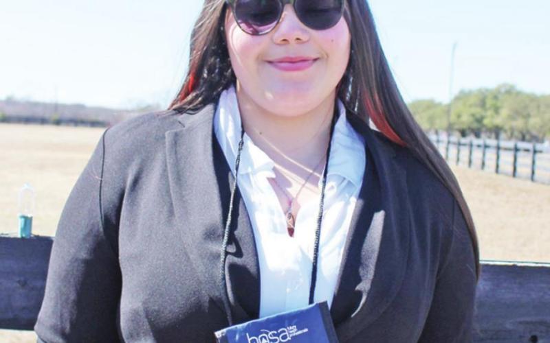 Denisse Brito Torres has advanced to state in Job Seeking Skills