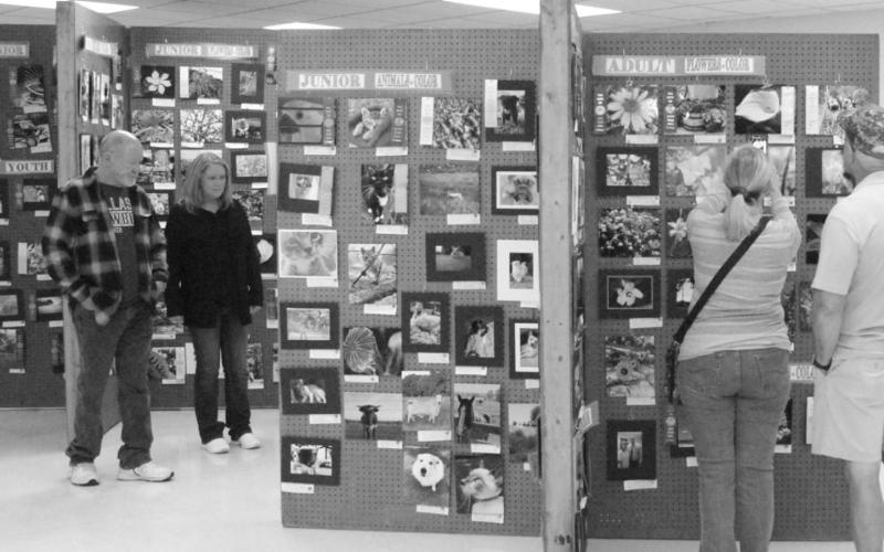 Guests check out winning art. FILE PHOTO
