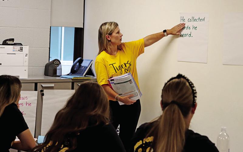 Director of Instructional Support, Michelle Luck, leads a session about grammar.