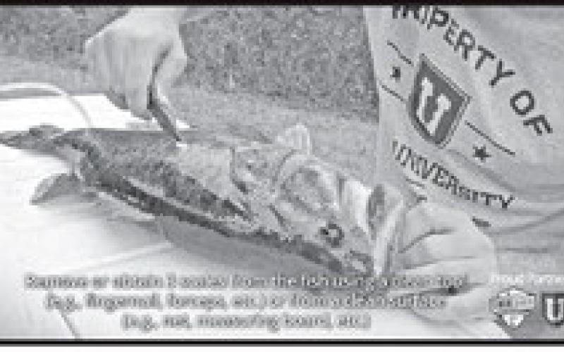 TPWD is encouraging recreational anglers and fishing guides alike to to submit scale samples of ShareLunkers for genetics testing. The testing provides scientists with valuable data about the genetics of wild populations of large bass around the state. (TPWD Screenshot Photo)