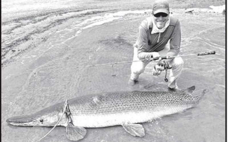 IGFA record chaser and light tackle specialist Art Weston with the 212-pound alligator gar he caught and released in September at Choke Canyon Reservoir near Three Rivers. The fish is a pending IGFA 16-pound line class world record and one of six line class world records Weston caught on the same trip. (Courtesy Photo, Art Weston)