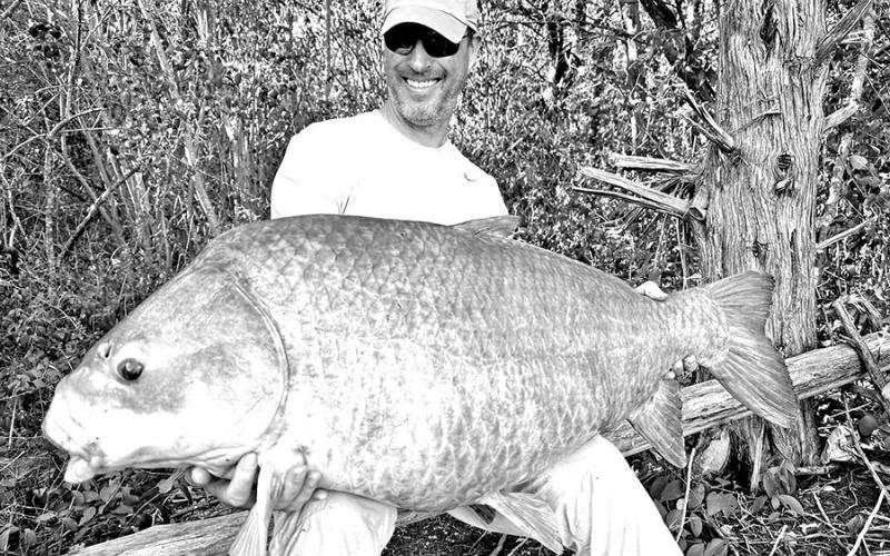 In early October, Weston caught and released this 68-pound smallmouth buffalo Walter B. Long reservoir near Austin. The is a pending IGFA 80-pound line class record. (Courtesy Photo, Art Weston)