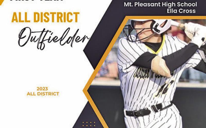 Lady Tiger softball receives all-district awards