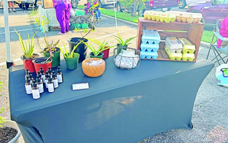 Mount Pleasant holds first Farmers Market of the year