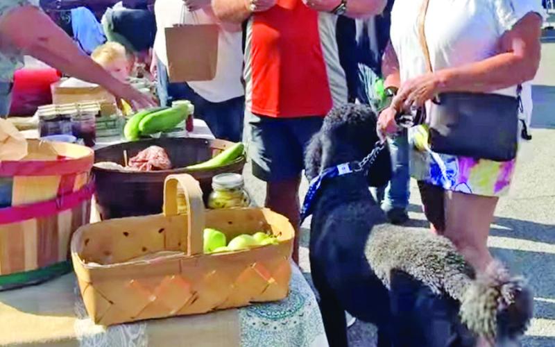 Mount Pleasant holds first Farmers Market of the year