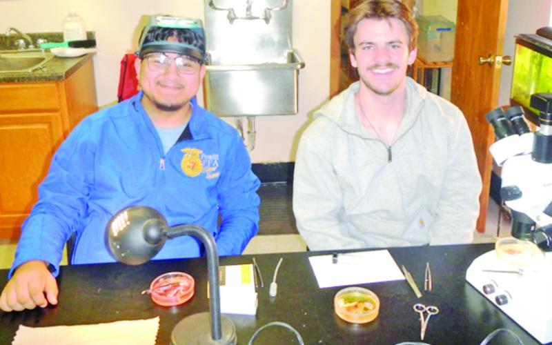NTCC students conducting research in vertebrate parasitology