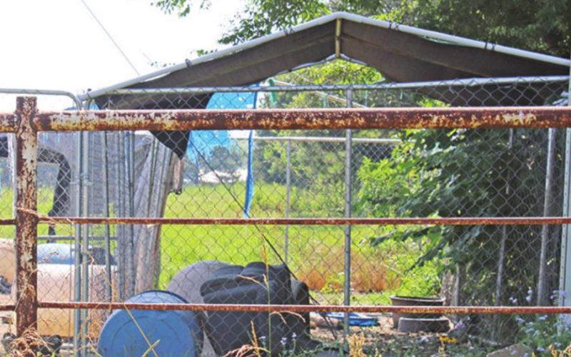 Over 30 animals seized from Titus County residence for severe abuse, neglect