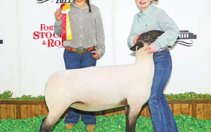 Mount Pleasant FFA students win big at Fort Worth