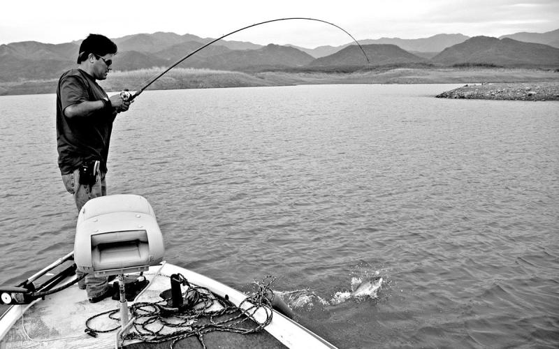The late Rene Salazar battles a bass that grabbed his crankbait as it dredged a rocky bottom at the confluence of several underwater points and a channel drainage at the upper reaches of the Sinaloa River at Mexico’s Lake Baccarac. (Photo by Matt Williams)