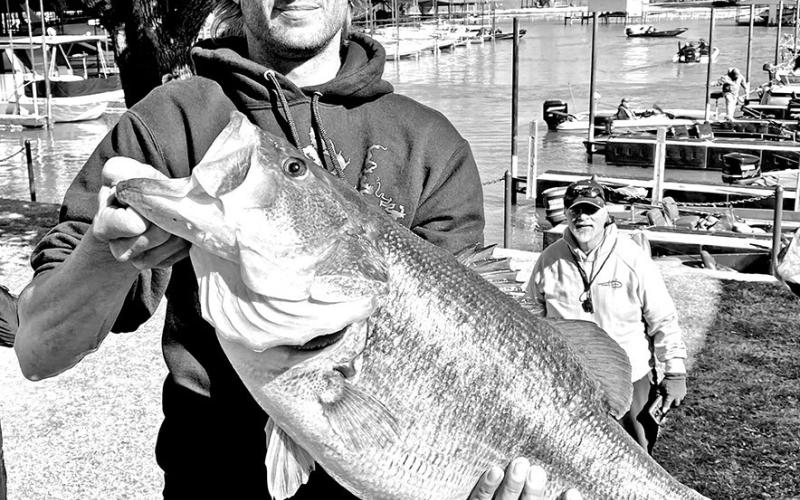 Robert Bandy’s 16 pound pure Florida bass caught in 2022 from Eagle Mountain Lake is among five Texas-caught bass that could unseat Kyle Hall as the IGFA Florida bass world record holder. Bandy would need to submit an application to the IGFA along with the proper documentation to do it. (Toyota ShareLunker Photo)