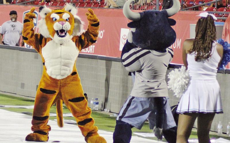 Fall Sports Highlights