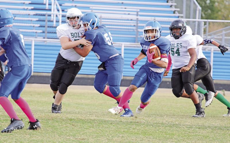 Fall Sports Highlights