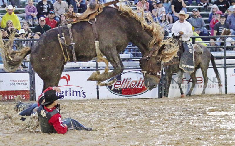 Mount Pleasant Pro Rodeo