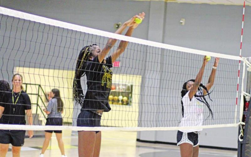 Area volleyball ‘sets’ up for new year