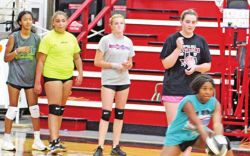 Area volleyball ‘sets’ up for new year