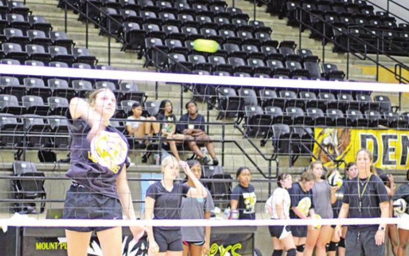 Area volleyball ‘sets’ up for new year