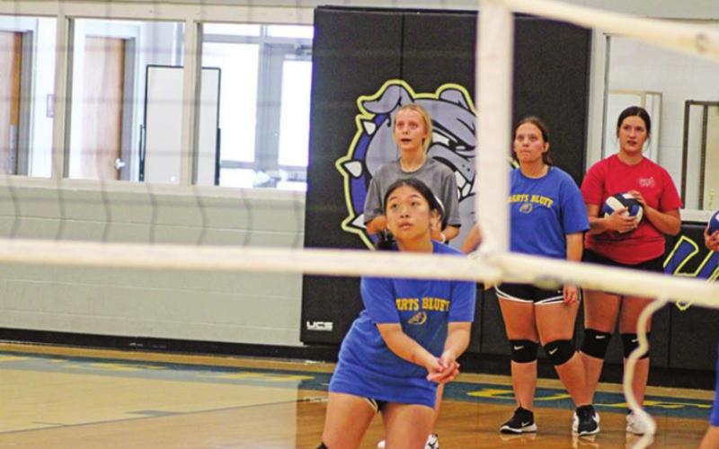Area volleyball ‘sets’ up for new year