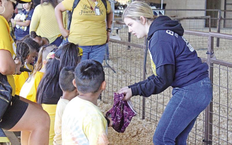 Titus County Fair kicks off with fun for all