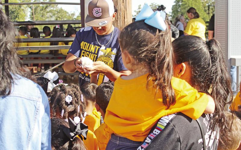 Titus County Fair kicks off with fun for all