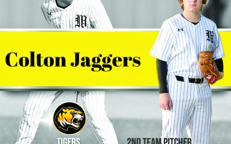 Six Tigers named to 15-5A all-district baseball team