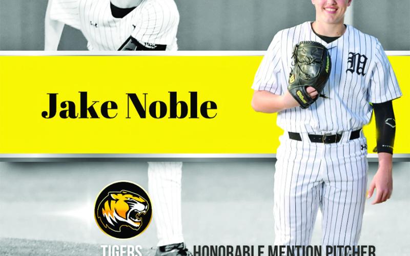 Six Tigers named to 15-5A all-district baseball team