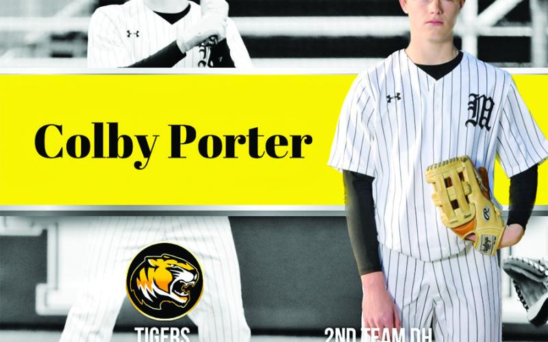 Six Tigers named to 15-5A all-district baseball team
