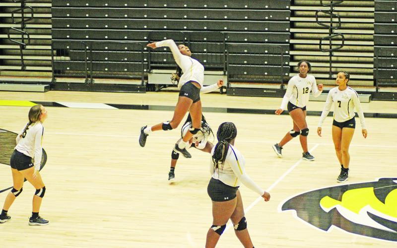 Mount Pleasant’s Aziyah Farrier jumps for a spike during the Lady Tigers’ match against Paris Friday. TRIBUNE PHOTO / QUINTEN BOYD