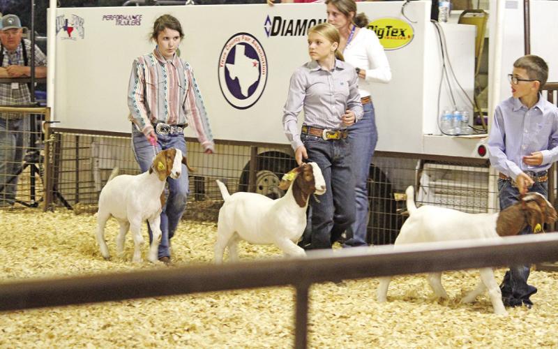 TITUS COUNTY FAIR