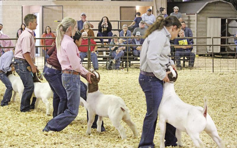 TITUS COUNTY FAIR