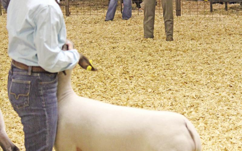 TITUS COUNTY FAIR