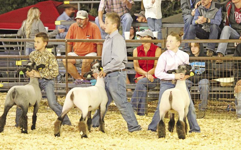 TITUS COUNTY FAIR