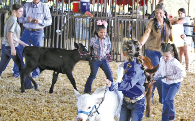 TITUS COUNTY FAIR