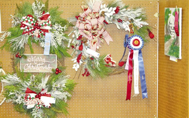 TITUS COUNTY FAIR