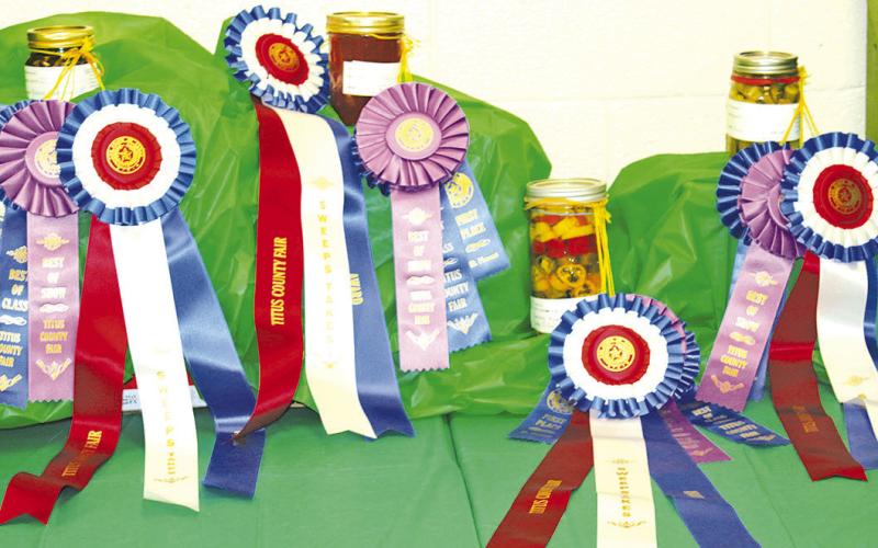TITUS COUNTY FAIR