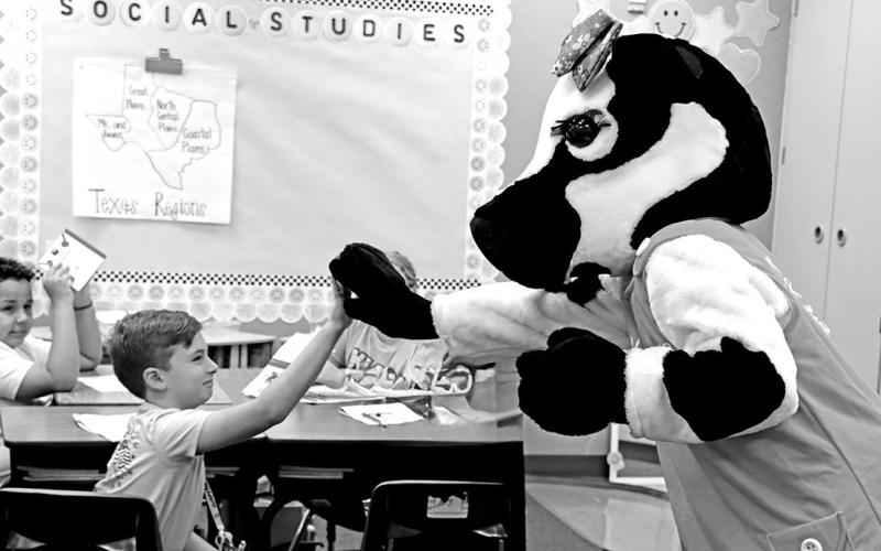 Tate Latiolis gets a high five from the Chick-Fil-A Cow at Annie Sims. Courtesy Photos