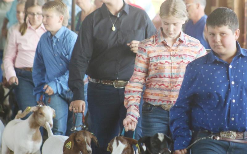 Titus County Fair kicks off