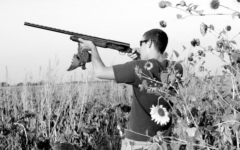 Dove hunting is fat cash cow in Texas that generates more than $452 million annually for the state’s economy. Mourning doves are the most plentiful dove species in the state with a resident breeding population of about 20 million birds. Texas hunters shot about 6.5 million birds last year. COURTESY PHOTO / MATT WILLIAMS