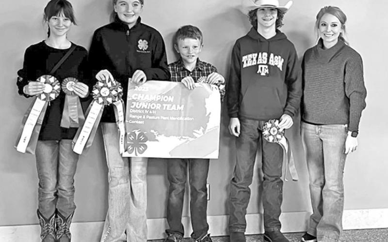 Titus County 4-H Members compete at Fort Worth Stock Show